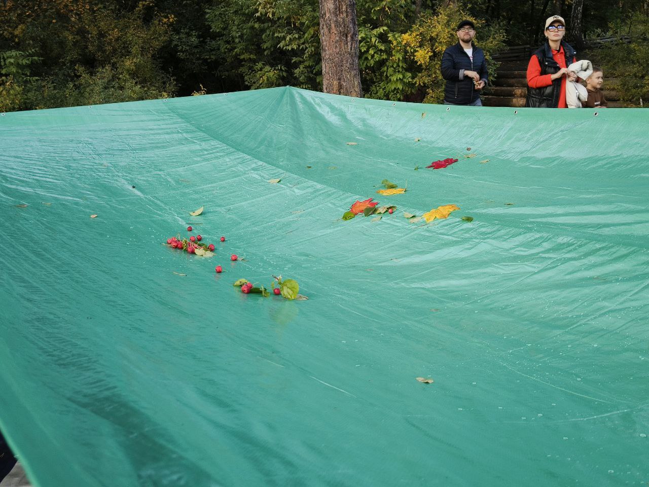 тент с люверсами